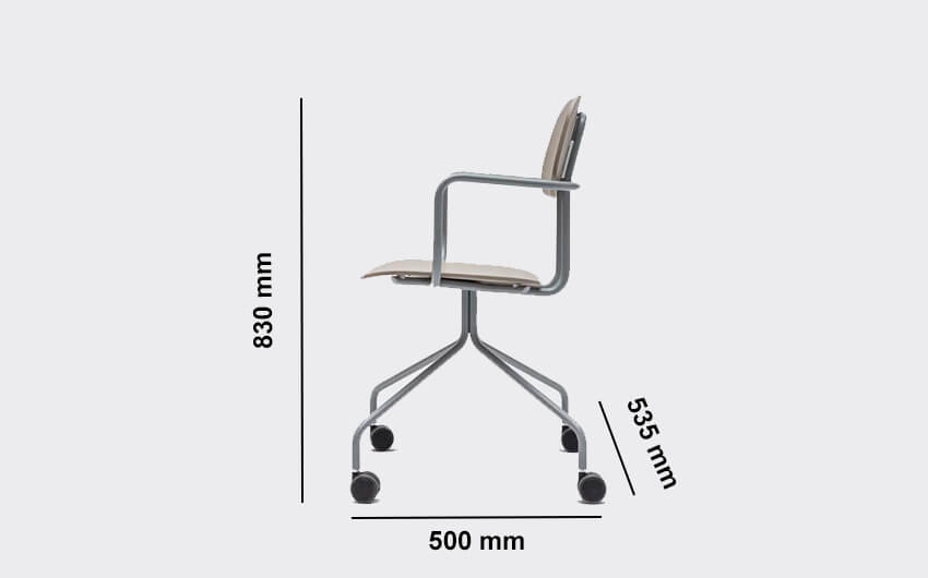 Nicasi 1 Meeting Chair