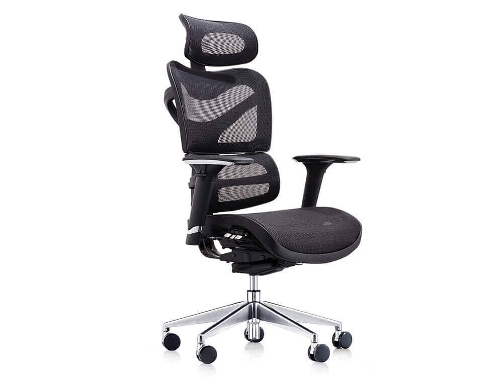 Mayla Black Executive Ergonomic Mesh Chair Mayla Black Executive Ergonomic Mesh Chair