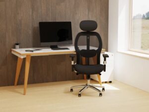 Sandye Mesh Back Executive Office Chair Main Img